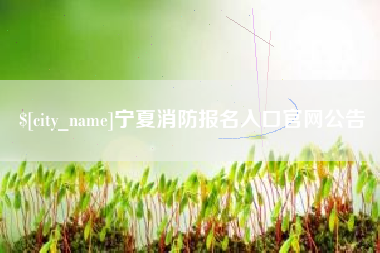 莱州宁夏消防报名入口官网公告