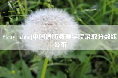 莱州中国消防救援学院录取分数线公布