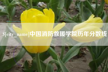 莱州中国消防救援学院历年分数线