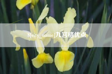 莱州九宫格优点