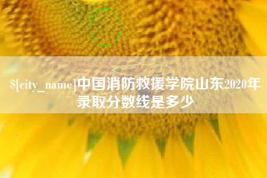 莱州中国消防救援学院山东2020年录取分数线是多少