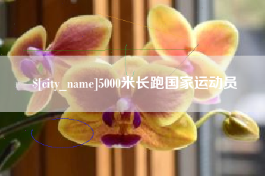 莱州5000米长跑国家运动员