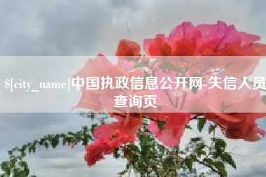莱州中国执政信息公开网-失信人员查询页