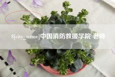 莱州中国消防救援学院 老师