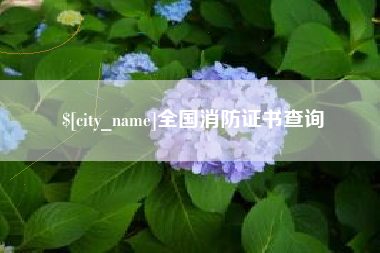 莱州全国消防证书查询