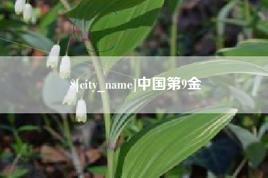 莱州中国第9金