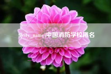 莱州中国消防学校排名