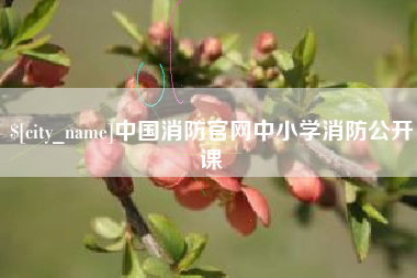 莱州中国消防官网中小学消防公开课