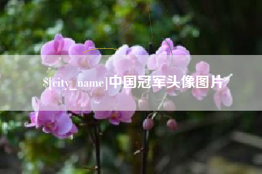 莱州中国冠军头像图片