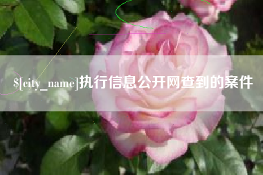 莱州执行信息公开网查到的案件