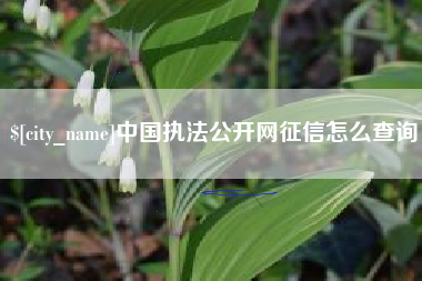 莱州中国执法公开网征信怎么查询