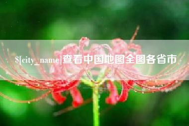 莱州查看中国地图全图各省市