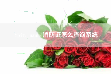 莱州消防证怎么查询系统