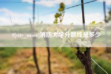 莱州消防大学分数线是多少