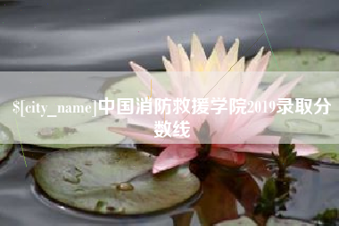莱州中国消防救援学院2019录取分数线