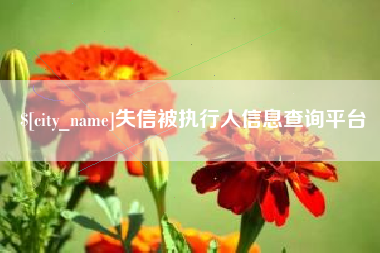 莱州失信被执行人信息查询平台