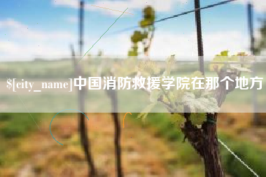 莱州中国消防救援学院在那个地方