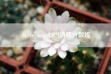 莱州2021消防分数线