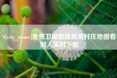 莱州免费卫星地图高清村庄地图看到人实时下载