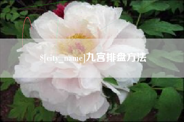 莱州九宫排盘方法