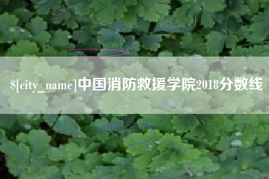 莱州中国消防救援学院2018分数线