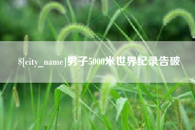 莱州男子5000米世界纪录告破
