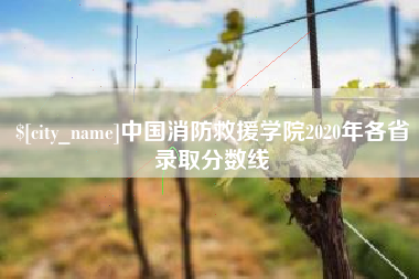 莱州中国消防救援学院2020年各省录取分数线