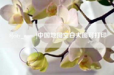 莱州中国地图空白大图可打印