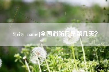 莱州全国消防日是第几天？
