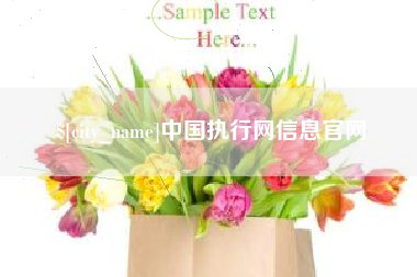 莱州中国执行网信息官网