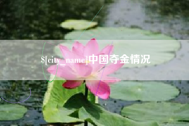 莱州中国夺金情况