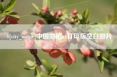 莱州中国地图a4打印版空白图片