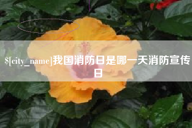莱州我国消防日是哪一天消防宣传日