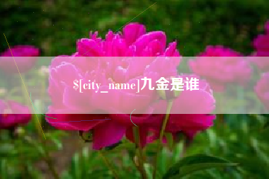 莱州九金是谁