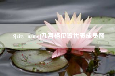 莱州九宫格位置代表成员图