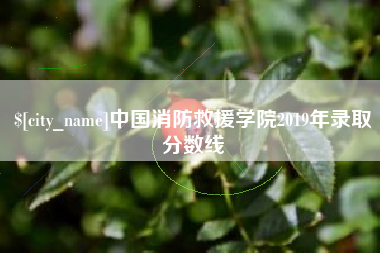 莱州中国消防救援学院2019年录取分数线
