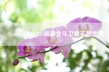 莱州2024高清北斗卫星实景地图