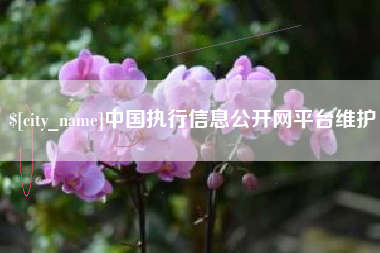 莱州中国执行信息公开网平台维护