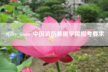 莱州中国消防救援学院报考要求