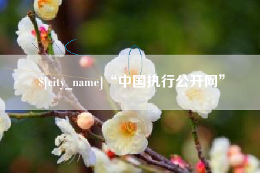 莱州“中国执行公开网”