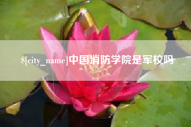 莱州中国消防学院是军校吗
