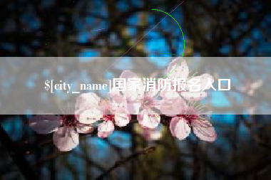 莱州国家消防报名入口