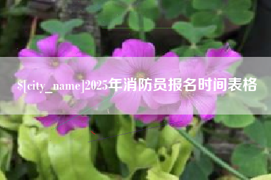 莱州2025年消防员报名时间表格