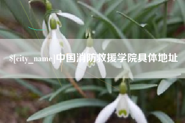 莱州中国消防救援学院具体地址