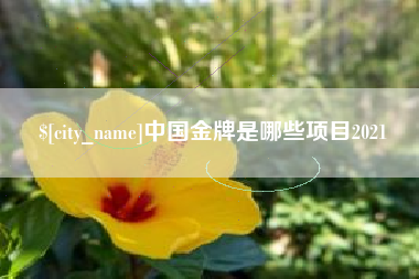 莱州中国金牌是哪些项目2021