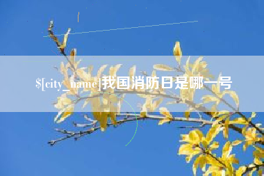 莱州我国消防日是哪一号