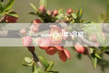 莱州2021年9宫格