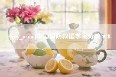 莱州中国消防救援学院分数2020