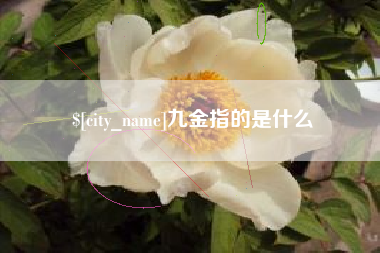 莱州九金指的是什么
