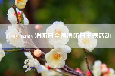 莱州消防日全国消防日主题活动